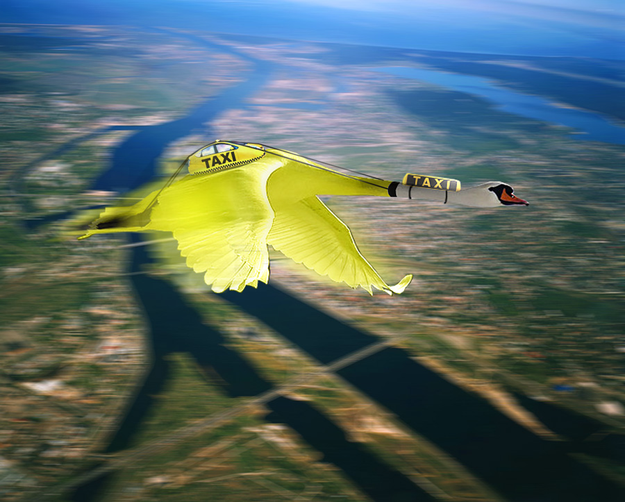 Photoshop Design by stoleto for DesignCrowd (Community Contests) | Design #8971472