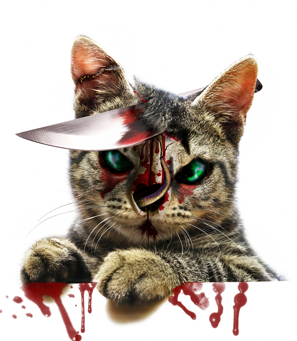 Photoshop Design by ayoksus for DesignCrowd (Community Contests) | Design #8969756