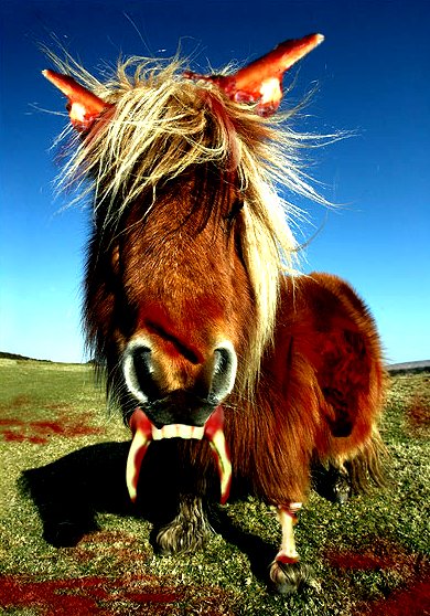 Photoshop Design by Handsomesgirl for DesignCrowd (Community Contests) | Design #8969797