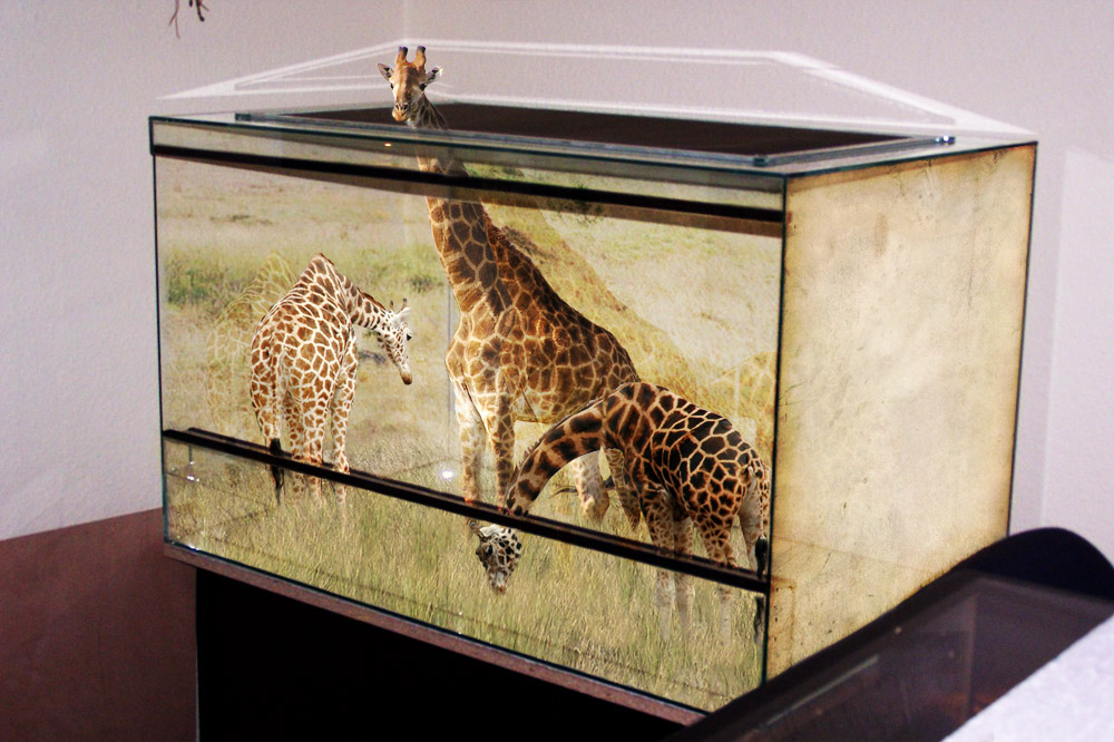 Photoshop-Design von Sunshine6366 für DesignCrowd (Community Contests) | Design #8971491