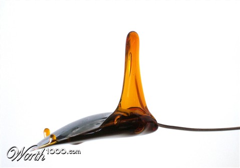 Photography by Andromeda5000