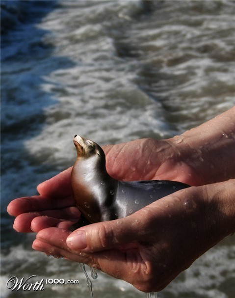 Photoshop Design by phillpsp