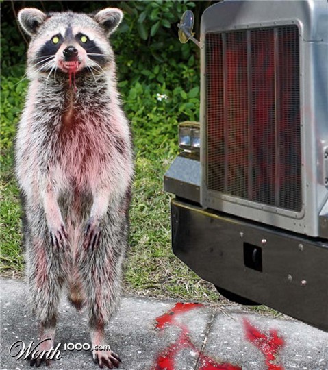 Photoshop Design by Katherine1234