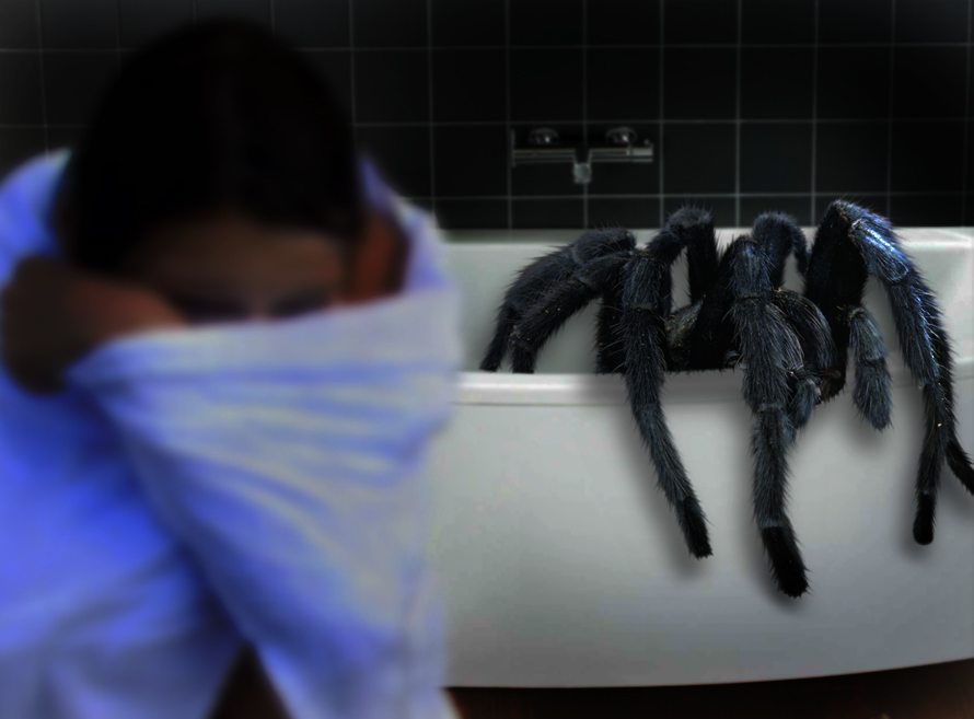 Photoshop Design by lucimine for DesignCrowd (Community Contests) | Design #8971541