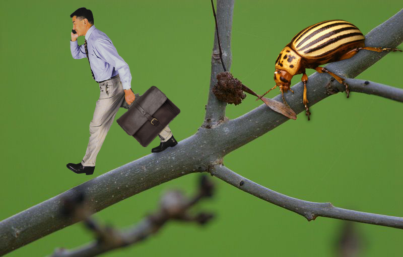 Photoshop Design by alesiphoto for DesignCrowd (Community Contests) | Design #8971523