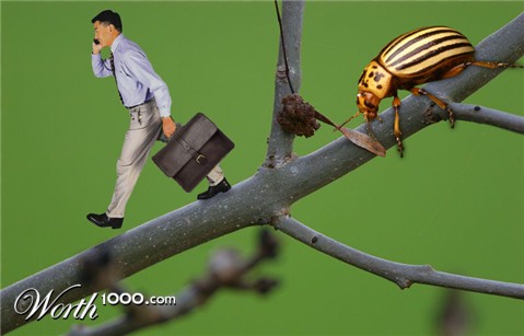 Photoshop Design by alesiphoto