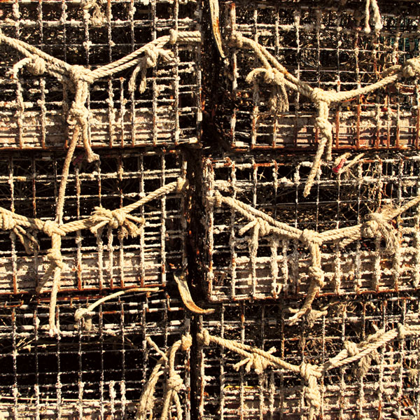 Photography by artworks94 for DesignCrowd (Community Contests) | Design #8967450