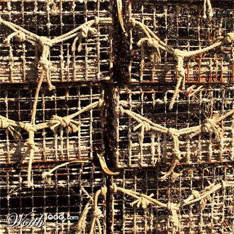 Photography by artworks94