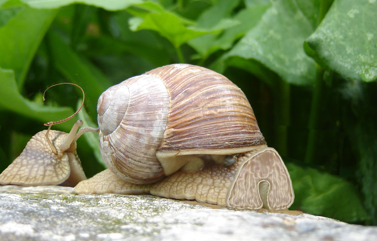 Photoshop Design by bicyclewilli for DesignCrowd (Community Contests) | Design #8969836