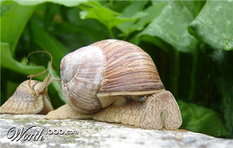 Photoshop Design by bicyclewilli