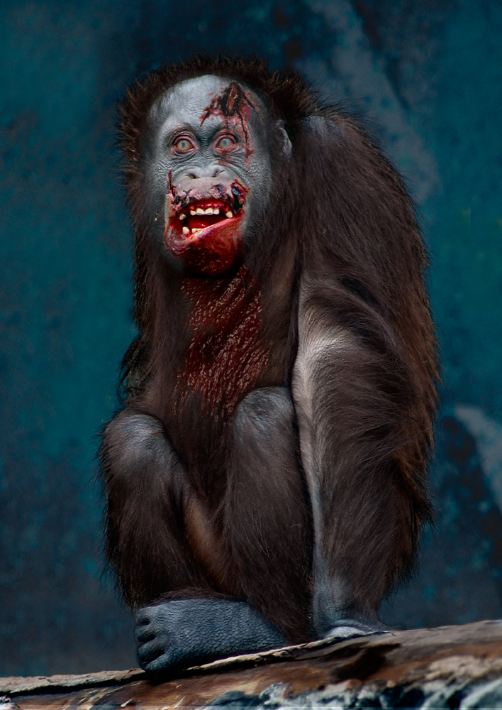 Diseño de Photoshop por DutchPuh para DesignCrowd (Community Contests) | Diseño #8969812