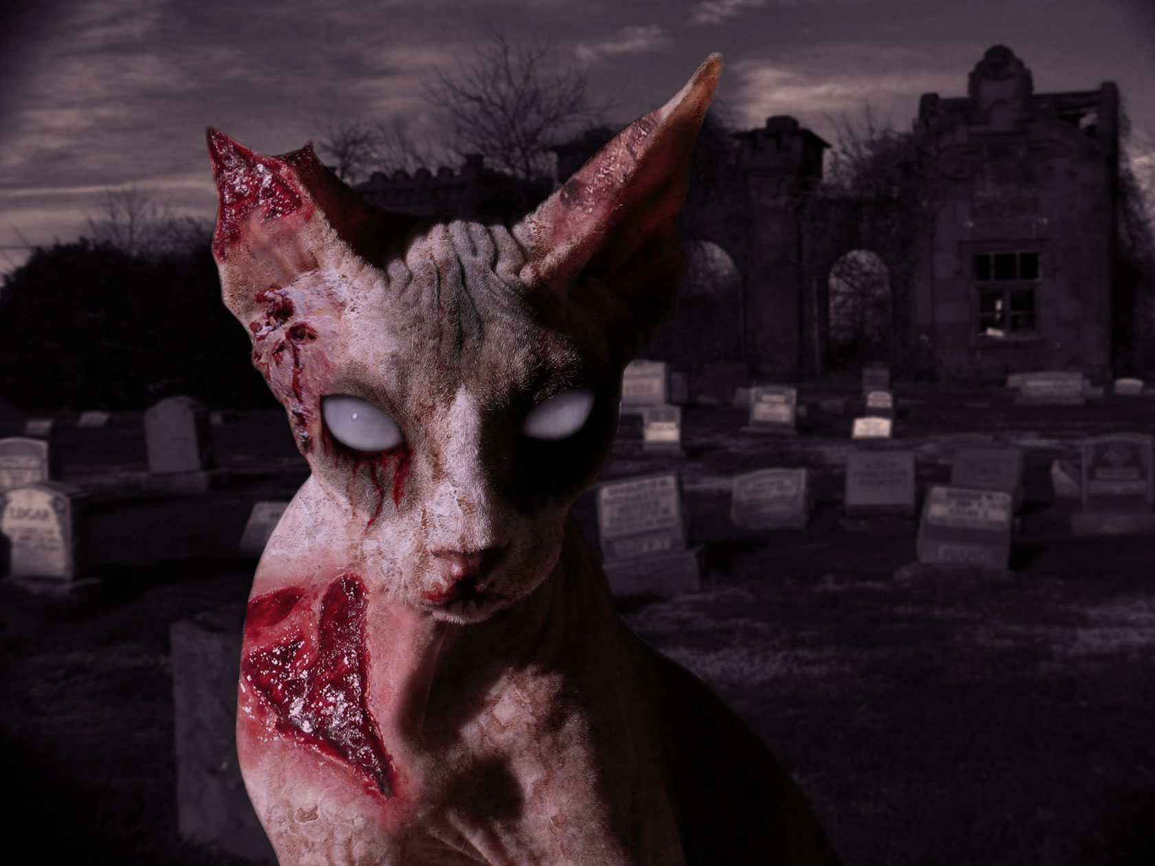 Photoshop Design by lostlittlegirl for DesignCrowd (Community Contests) | Design #8969855