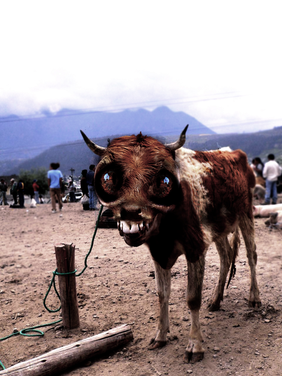 Photoshop Design by Sakrofagas for DesignCrowd (Community Contests) | Design #8969822