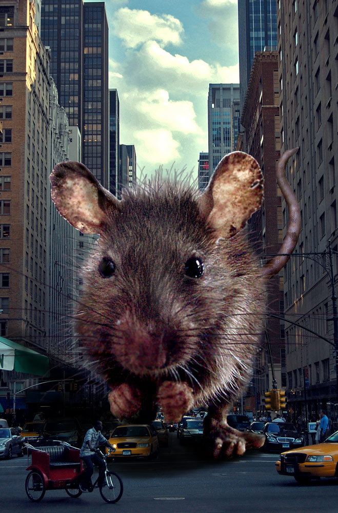 Photoshop Design by Ferry001 for DesignCrowd (Community Contests) | Design #8971572