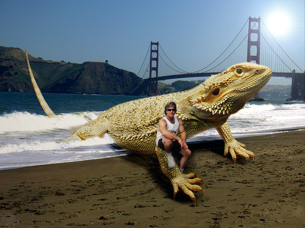 Photoshop Design by vlvette for DesignCrowd (Community Contests) | Design #8971556