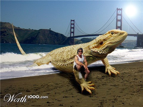 Photoshop Design by vlvette