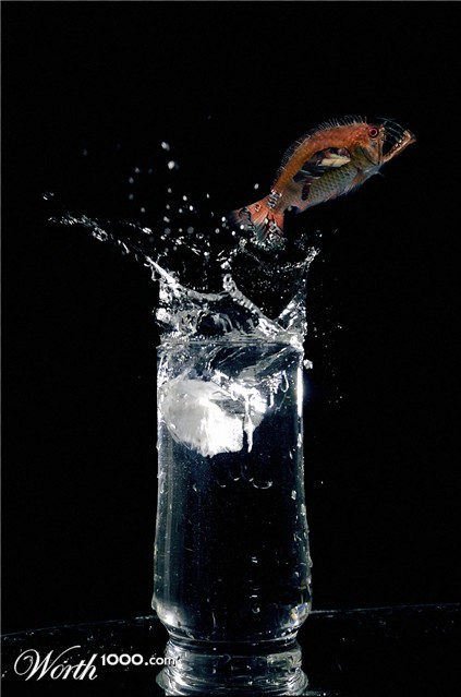 Photoshop Design by A1A1L1O1A1A1M2