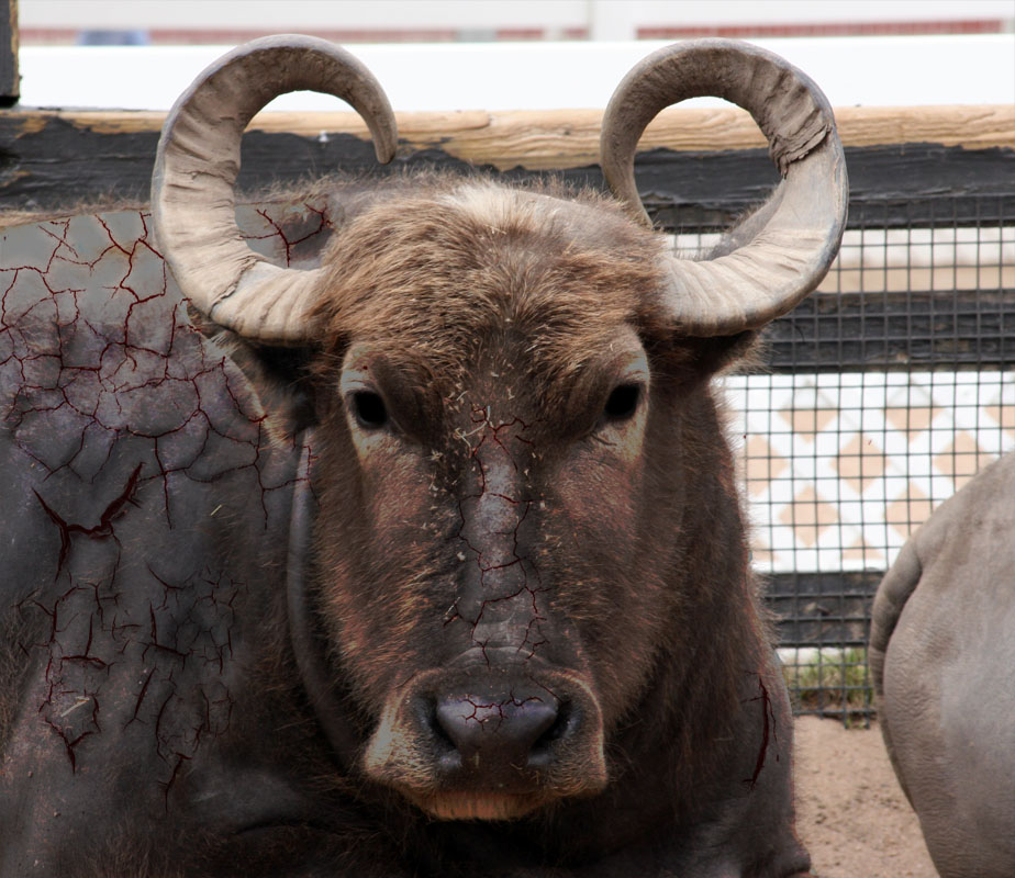 Photoshop-Design von wwonka für DesignCrowd (Community Contests) | Design #8969904