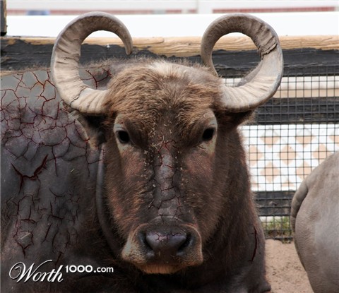 Photoshop Design by wwonka