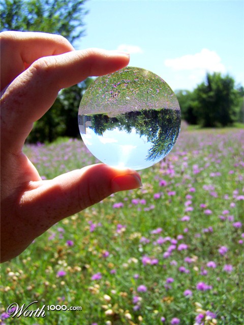 Photography by ajflyingfrog