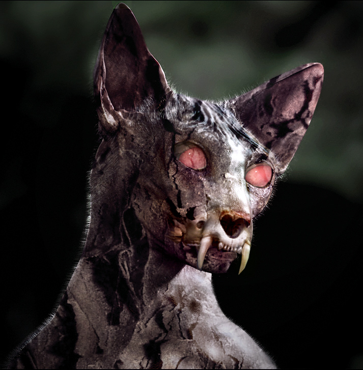 Photoshop Design by Mandrak for DesignCrowd (Community Contests) | Design #8969929