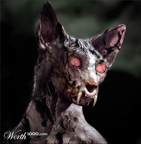 Photoshop Design by Mandrak