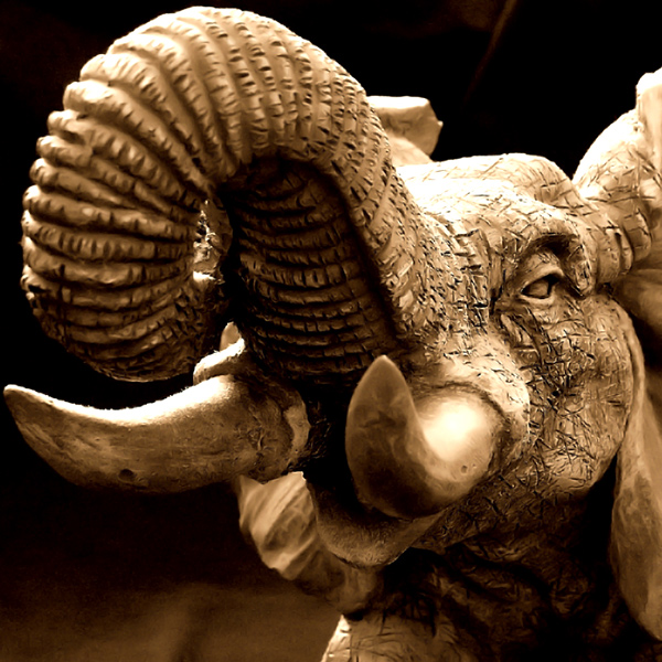 Photography by Chimmi for DesignCrowd (Community Contests) | Design #8967490