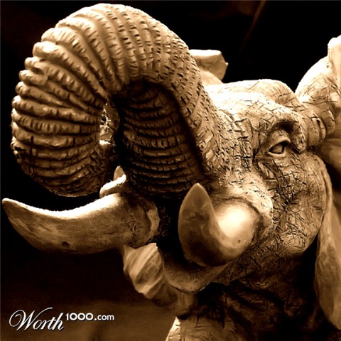 Photography by Chimmi