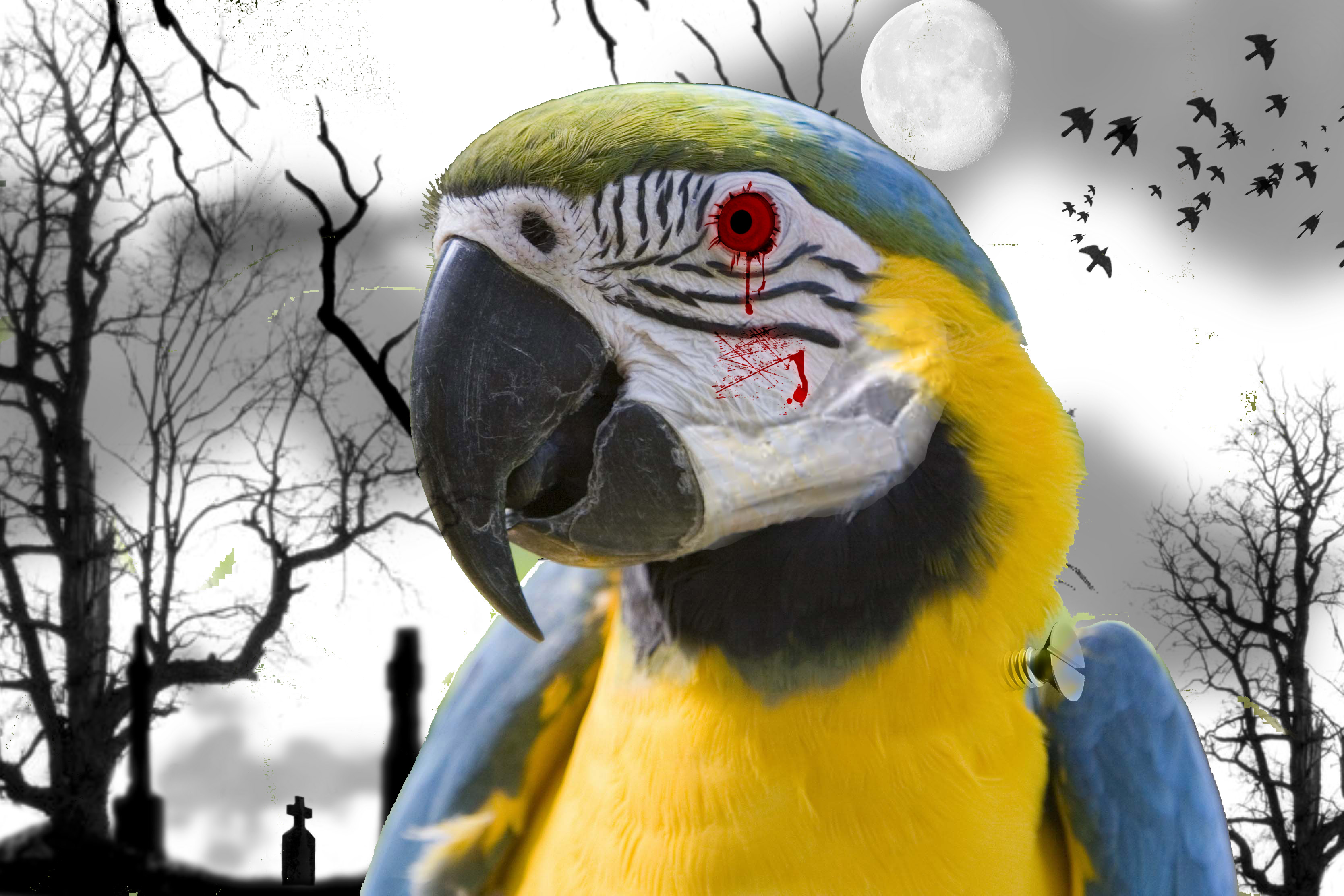 Photoshop Design by Rahulujjal140390 for DesignCrowd (Community Contests) | Design #8969938