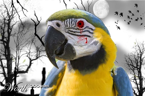 Photoshop Design by Rahulujjal140390