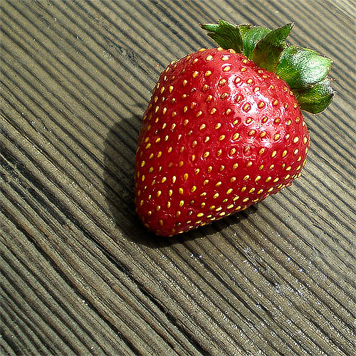 Photography by amirbse for DesignCrowd (Community Contests) | Design #8967511