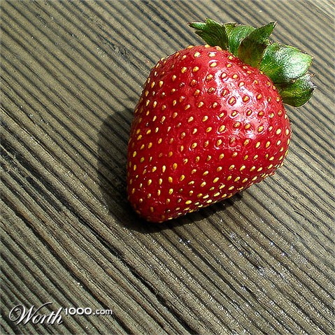 Photography by amirbse