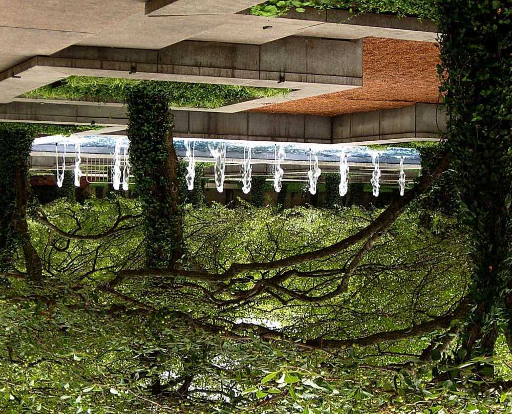 Fotografie von spincast1123 für DesignCrowd (Community Contests) | Design #8968773