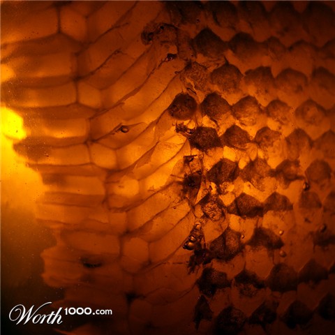 Photography by metafizzixx