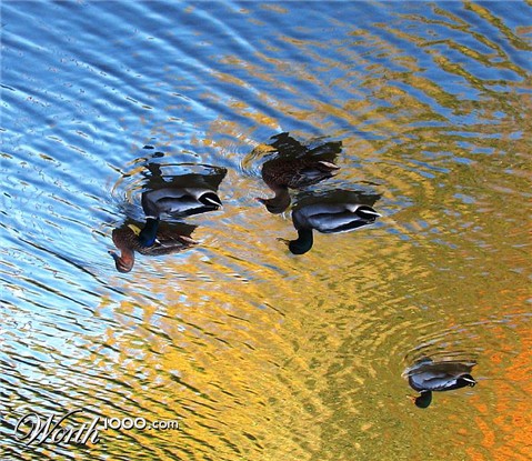 Photography by rocky0009