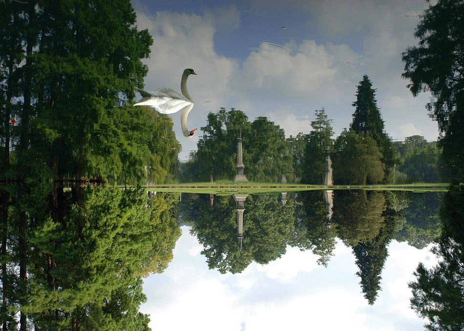 Photography by Tyssen for DesignCrowd (Community Contests) | Design #8968823