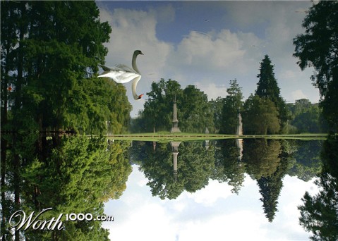 Photography by Tyssen