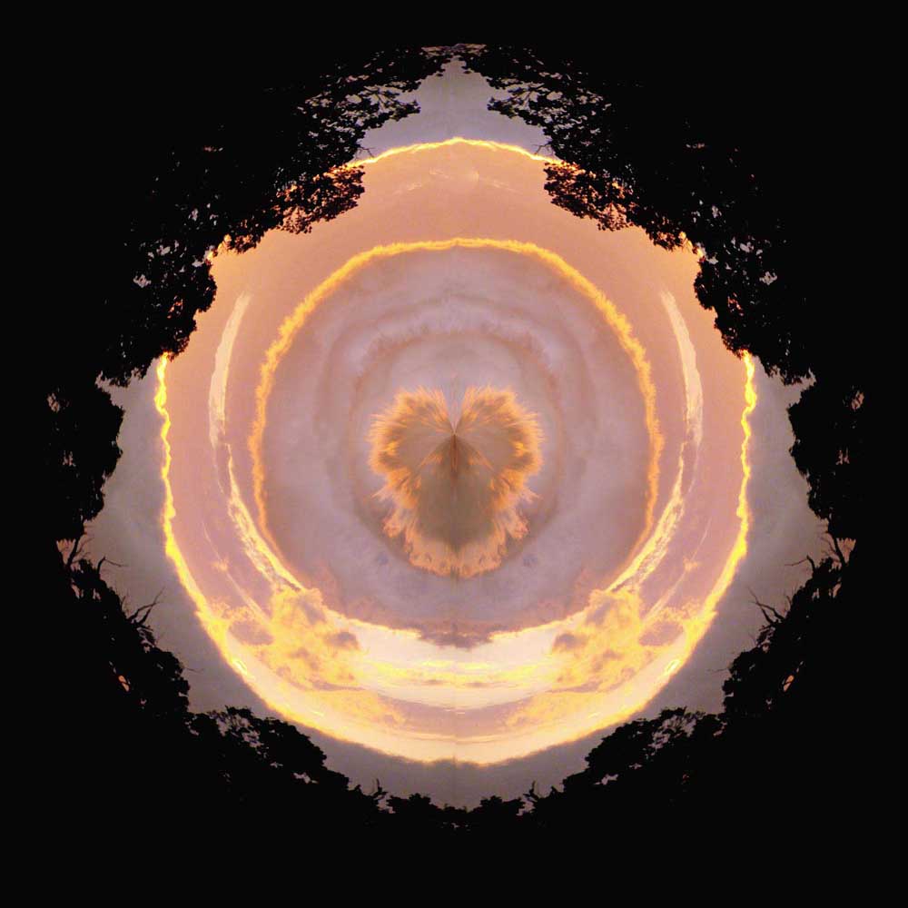 Photography by CarissaLynn for DesignCrowd (Community Contests) | Design #8966958