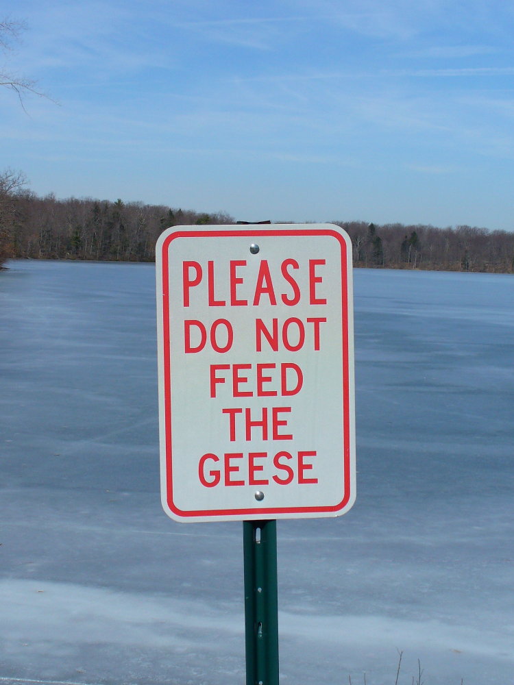 Photography by j9mayer for DesignCrowd (Community Contests) | Design #8968250