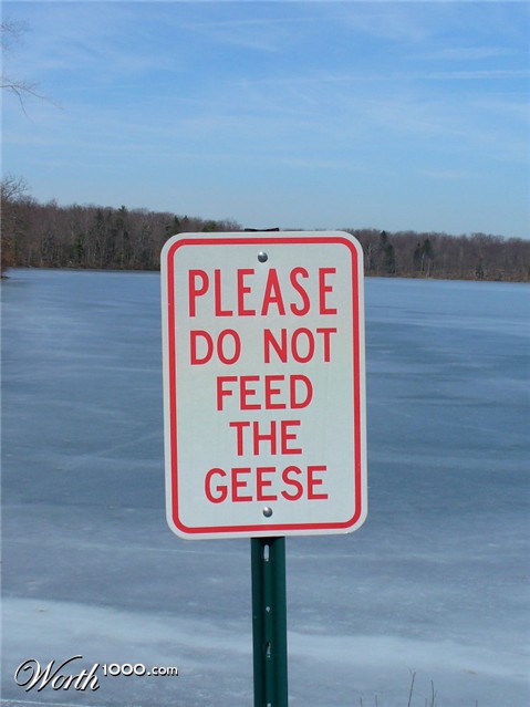 Photography by j9mayer