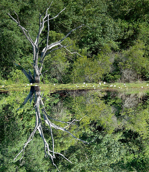 Photography by Jawizza for DesignCrowd (Community Contests) | Design #8968770