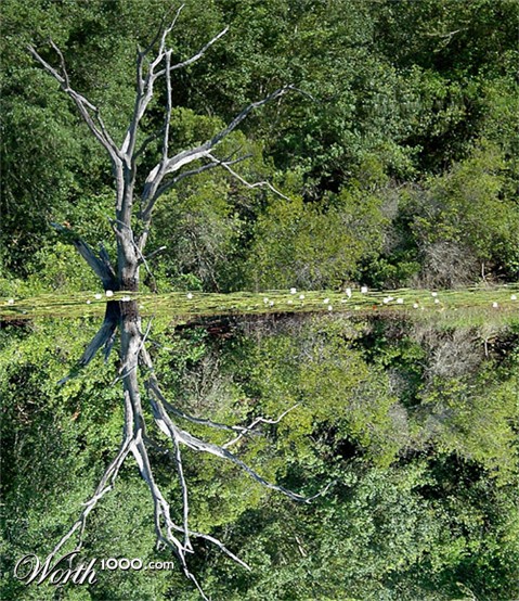 Photography by Jawizza