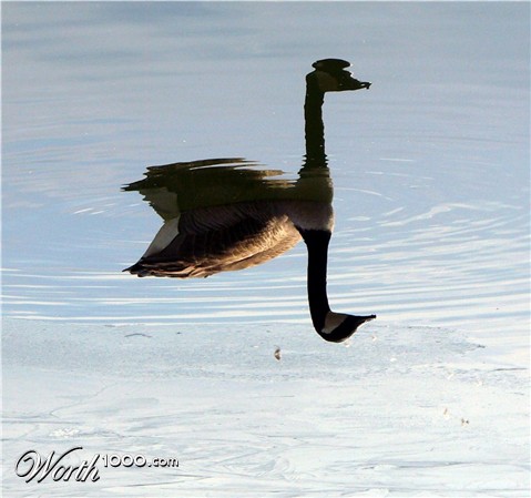 Photography by j9mayer