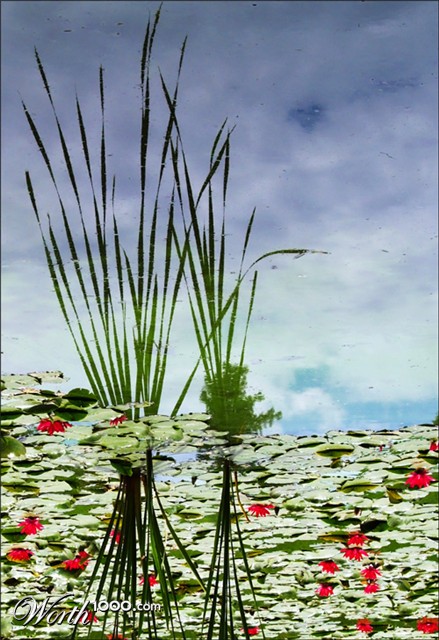 Photography by essjaynz