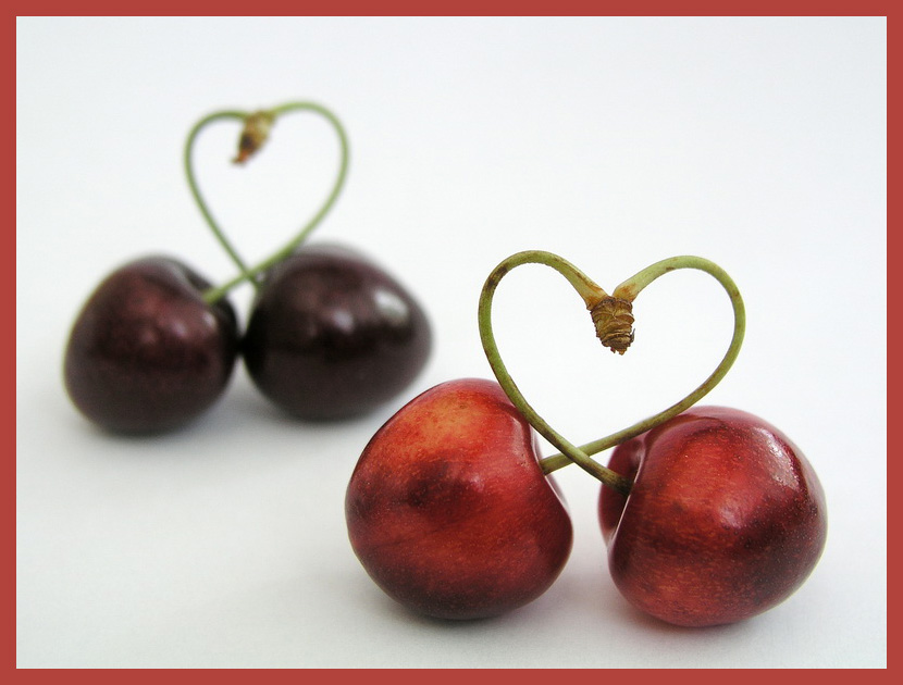 Photographie par mzmzmzmz pour DesignCrowd (Community Contests) | Design #8973443