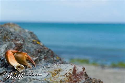 Photography by AlastairI