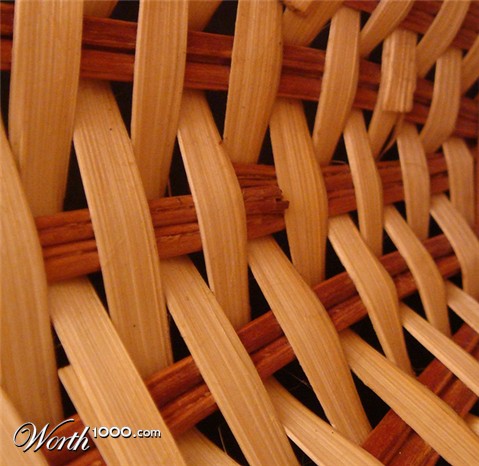 Photography by memool