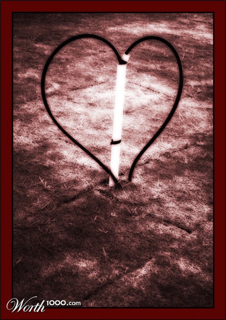 Photography by kimbomac