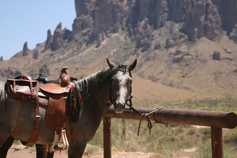 Photography by LunaStone for DesignCrowd (Community Contests) | Design #8968573