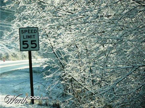Photography by youngwhit